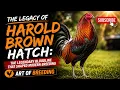 Harold Brown Hatch The Legendary Bloodline That Shaped Modern Breeding