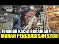 Download Lagu GILA ! SISA PENGHABISAN !!! PULUHAN KACER KALIMANTAN DIJUAL HABIS HABISAN HARI INI DIKIOS SINGGIH