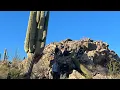 NEW RANCH Wickenburg Arizona