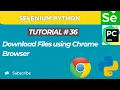 Selenium WebDriver with Python tutorial 36 How to Download File in Selenium WebDriver