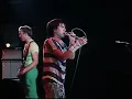 The Members 'Solitary Confinement' live 1979