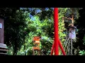Download Lagu Hundreds - Wait For My Raccoon