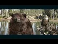 The Bear the Eagle The 2022 Kia Sorento