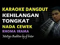 Download Lagu Karaoke Dangdut Kehilangan Tongkat || Nada Cewek