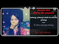 Download Lagu Karaoke duet rantau den panjauah