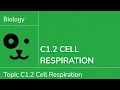 C1 2 Cell Respiration IB Biology