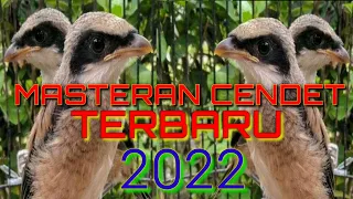 Download MASTERAN CENDET TROTOL 2022 FUL ISIAN MEWAH MP3