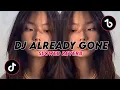 DJ ALREADY GONE SLOWED REVERB VIRAL TIKTOK 2K22