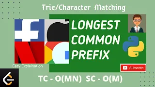 Longest Common prefix String leetcode Python solution Easy Explaination Coding Interview leetcode 14