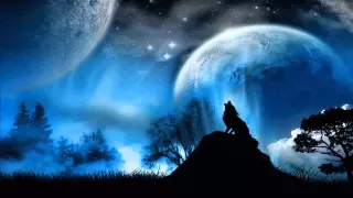 رضا البحراوي ـــ عمرك متقلش صاحب 