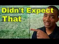 Pre-Emergent - LIQUID vs GRANULAR RESULTS