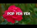 Download Lagu Salim I. - Pujaan Hatiku  (Cantik wajahmu kanda , Tak dapat ku lupa )