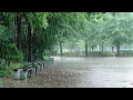 Download Lagu 불면증을 끝내고 잠들기 위한 최고의 빗소리, 폭우가 만든 백색소음으로 편안한 휴식하세요.