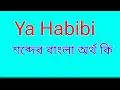 Ya Habibi Ya Habibi meaning in bangla Ya Habibi