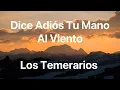 Download Lagu Los Temerarios - Dice Adiós Tu Mano Al Viento - Letra