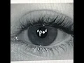 “Po” (Radio Edit)