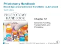 Phlebotomy Chapter 12 Specimen Handling Transportation and Processing PowerPoint Lecture