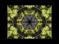 BROKEN KALEIDOSCOPE