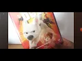 Lagu Bolt (UK) DVD Unboxing 