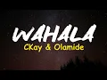 CKay – Wahala Ft  Olamide (Official Lyrics Video)