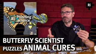 Animals can treat their own illnesses? | Puzzling Science with Jaap de Roode