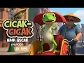 Lagu 🦎 Cicak-Cicak Naik Becak Parodi Cicak-Cicak di Dinding | Lagu Komedi yang Lucu untuk Hiburan Anak