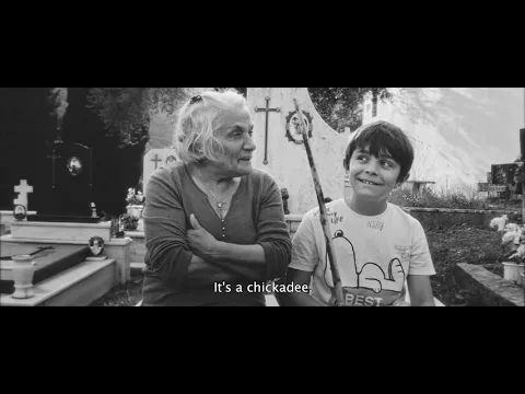 #TDF23 | Memento [FILM FORWARD]