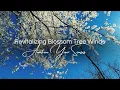 Revive Your Senses Recharge and Revitalize with Calming Nature Sounds 10 Minute No Music