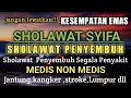 Download Lagu SHOLAWAT TIBBIL QULUP(SYIFA)PENYEMBUH SAKIT MEDIS NON MEDIS,sholawat syifa Mustajab!