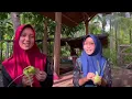Lagu NIURFMLY - Cerita Raya Agy (Video Klip)