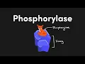 Metabolism Memorization Made Easy Enzyme Names MCAT Content