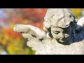Final Farewells Funeral Pre-Scheduling Providers - Make On the web Funeral Arrangements Before Your