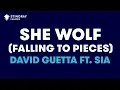 David Guetta - She Wolf (Falling To Pieces) ft. Sia (Karaoke with Lyrics)