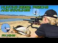 Download Lagu Hunting Geese, Pigeons and Starlings with the FX King PCP Air Gun | 26gr Javelins | Pest Control
