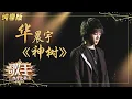 【纯享版】华晨宇《神树》极致震撼 呼吁大家保护自然 《歌手·当打之年》Singer 2020【湖南卫视官方HD】
