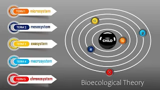 Bronfenbrenner s Bioecological Model Structure of Environment