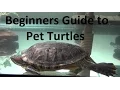 Download Lagu What you need to know about pet turtles!