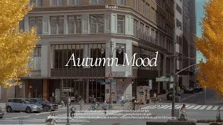 Autumn Groove Upbeat City Vibes For Warm Days Design Tutorial  Autumn Groove Upbeat City Vibes For Warm Days Design Tutorial