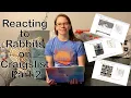 CRAIGSLIST REACTION Reacting to Rabbit Postings on Craigslist Part 2