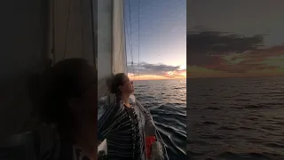 Buy a Boat Views #sailing #sunsets #boatlife #ocean #nature #calm #beautifullife