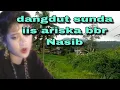 Download Lagu dangdut sunda iis ariska bbr nasib