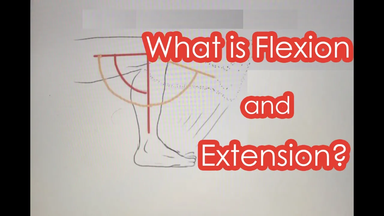 What is Flexion and Extension?