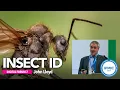 Insect Identification BPCA Digital Forum 7 Feb 2021