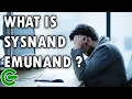 WHAT IS SYSNAND AND EMUNAND
