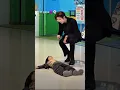 Download Lagu [re-upload] Difference between Papa and mama ✨️🤌🏻🌷🦋♥️🔥☠️#100k #ytshorts #trending #fypviralシ #sub