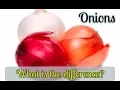 Yellow White Sweet and Red Onions - Do You Know the Differences Between Them