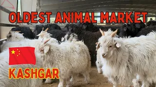 中国最古老的牲畜市场：喀什周日巴扎