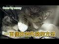 MC 張天賦 - 一百個未老先衰的方法 Fast Track to Senility (Cover by sunny)