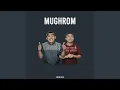 Download Lagu Mughrom