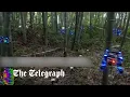 Download Lagu Researchers teach swarm of drones to navigate forest without crashing